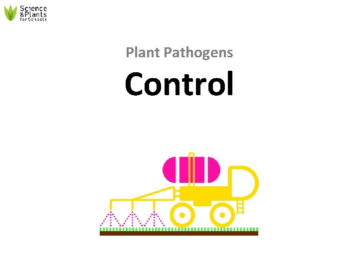 Plant Pathogens Control 