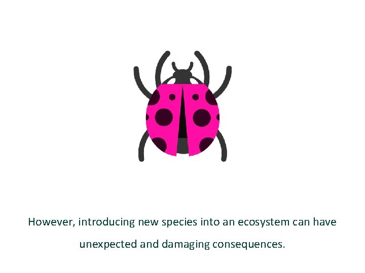 However, introducing new species into an ecosystem can have unexpected and damaging consequences. 