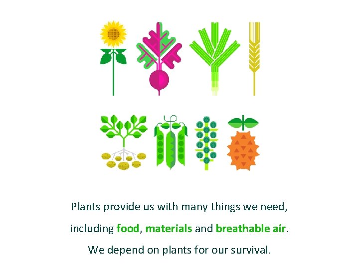 Plants provide us with many things we need, including food, materials and breathable air.