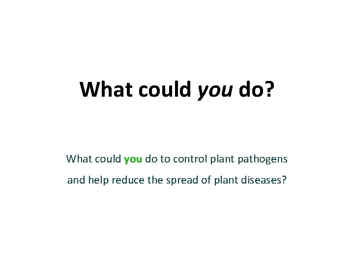What could you do? What could you do to control plant pathogens and help