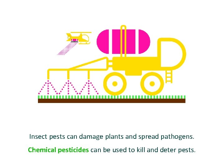 Insect pests can damage plants and spread pathogens. Chemical pesticides can be used to