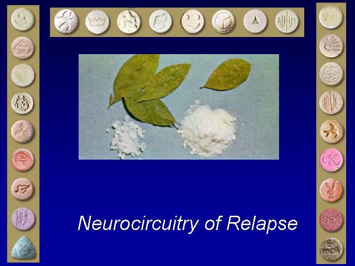 Neurocircuitry of Relapse 