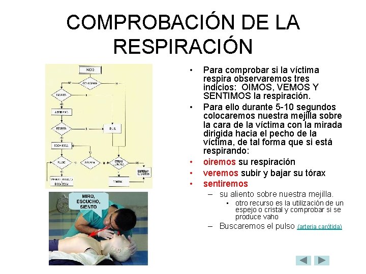 COMPROBACIÓN DE LA RESPIRACIÓN • • • Para comprobar si la víctima respira observaremos