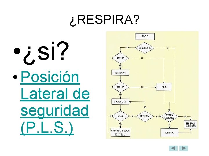 ¿RESPIRA? • ¿si? • Posición Lateral de seguridad (P. L. S. ) 