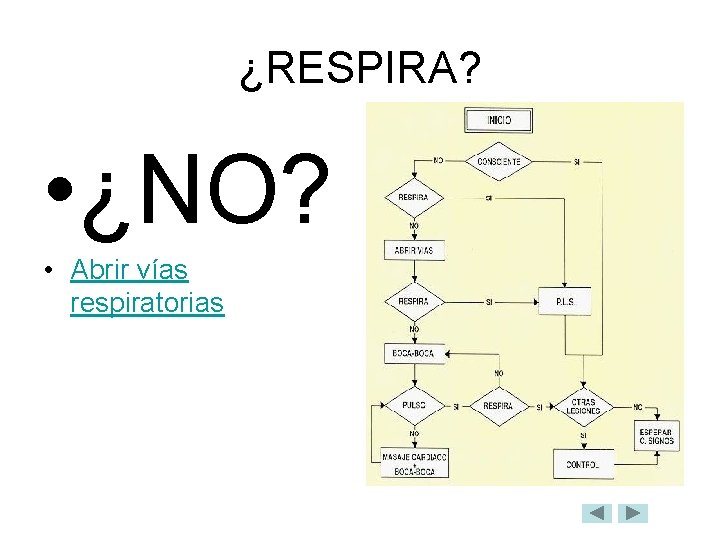 ¿RESPIRA? • ¿NO? • Abrir vías respiratorias 