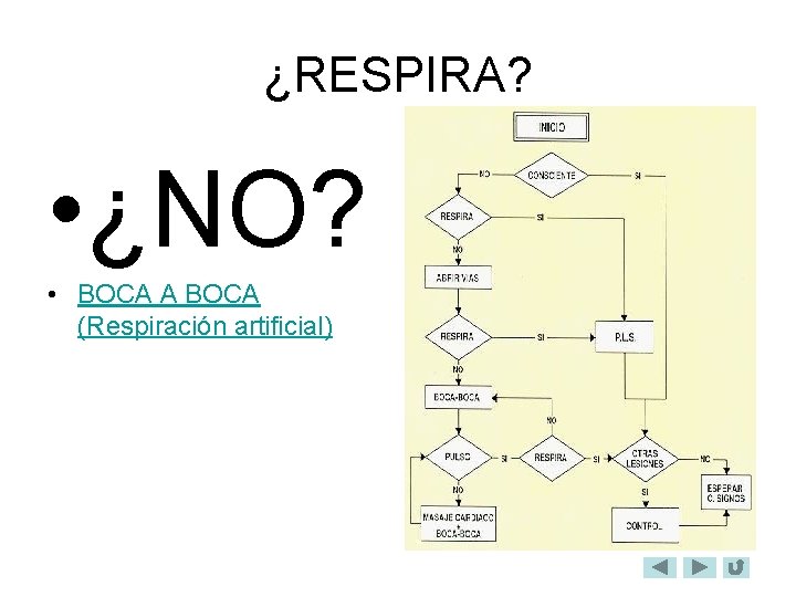 ¿RESPIRA? • ¿NO? • BOCA A BOCA (Respiración artificial) 