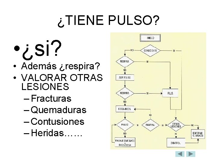 ¿TIENE PULSO? • ¿si? • Además ¿respira? • VALORAR OTRAS LESIONES – Fracturas –