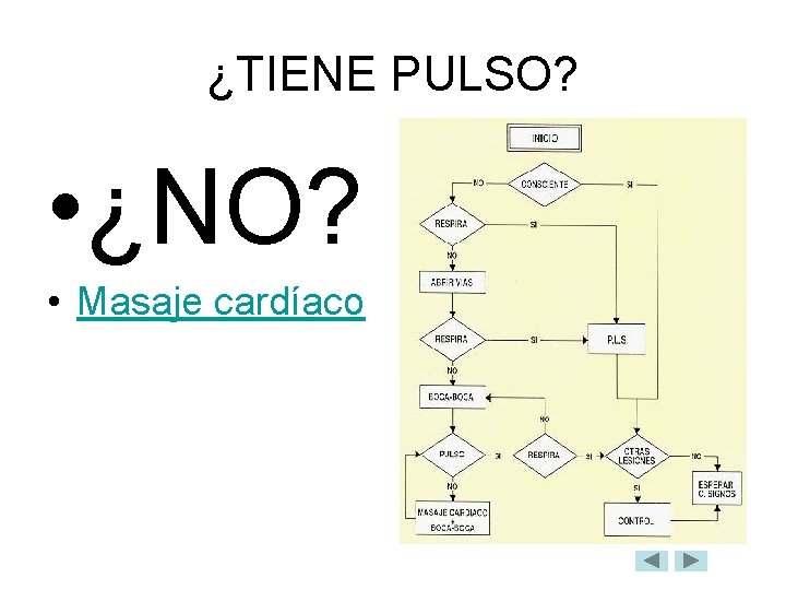 ¿TIENE PULSO? • ¿NO? • Masaje cardíaco 