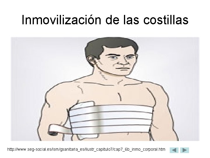 Inmovilización de las costillas http: //www. seg-social. es/ism/gsanitaria_es/ilustr_capitulo 7/cap 7_6 b_inmo_corporal. htm 