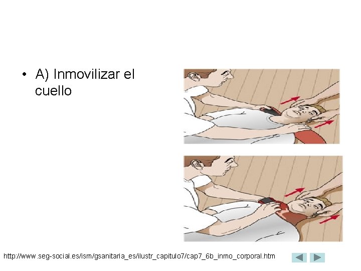  • A) Inmovilizar el cuello http: //www. seg-social. es/ism/gsanitaria_es/ilustr_capitulo 7/cap 7_6 b_inmo_corporal. htm