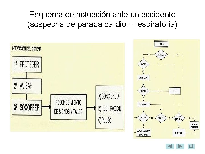 Esquema de actuación ante un accidente (sospecha de parada cardio – respiratoria) 