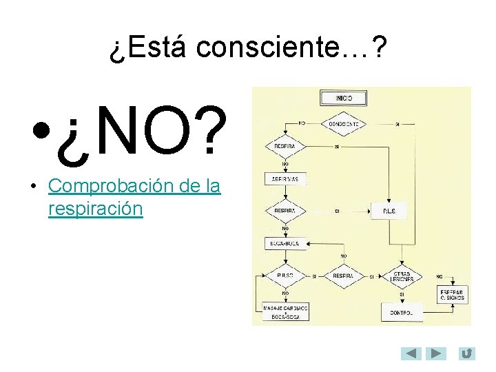 ¿Está consciente…? • ¿NO? • Comprobación de la respiración 