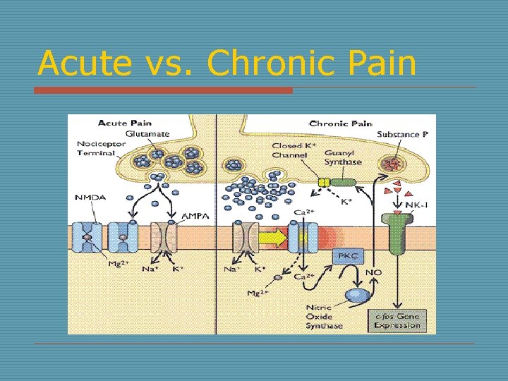 Acute vs. Chronic Pain 
