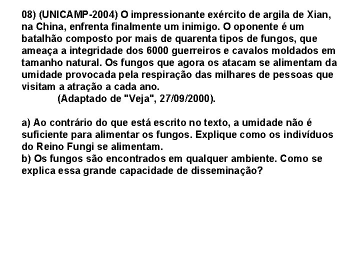 08) (UNICAMP-2004) O impressionante exército de argila de Xian, na China, enfrenta finalmente um