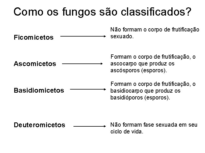 Como os fungos são classificados? Ficomicetos Não formam o corpo de frutificação sexuado. Ascomicetos