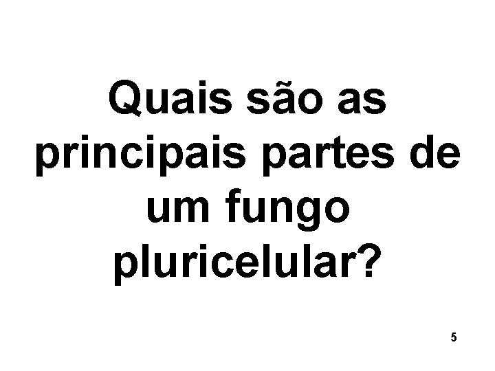 Quais são as principais partes de um fungo pluricelular? 5 