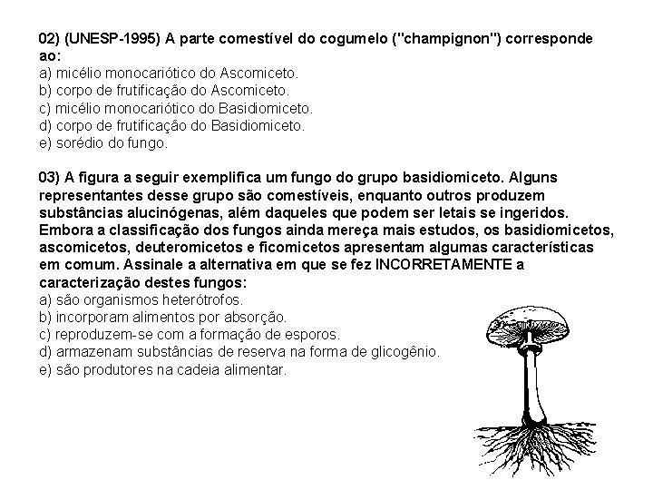 02) (UNESP-1995) A parte comestível do cogumelo ("champignon") corresponde ao: a) micélio monocariótico do
