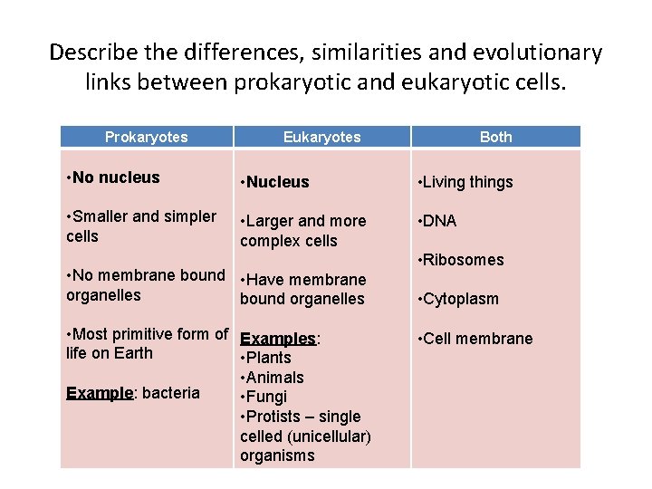 Describe the differences, similarities and evolutionary links between prokaryotic and eukaryotic cells. Prokaryotes Eukaryotes