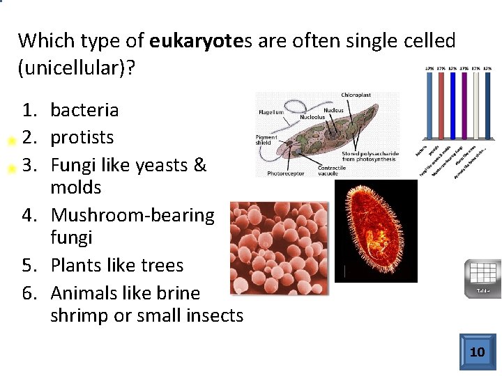 Which type of eukaryotes are often single celled (unicellular)? 1. bacteria 2. protists 3.