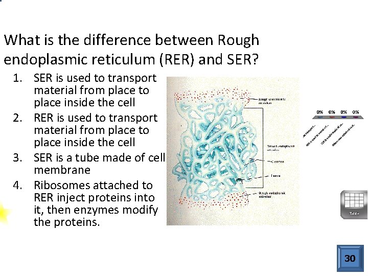 What is the difference between Rough endoplasmic reticulum (RER) and SER? 1. SER is