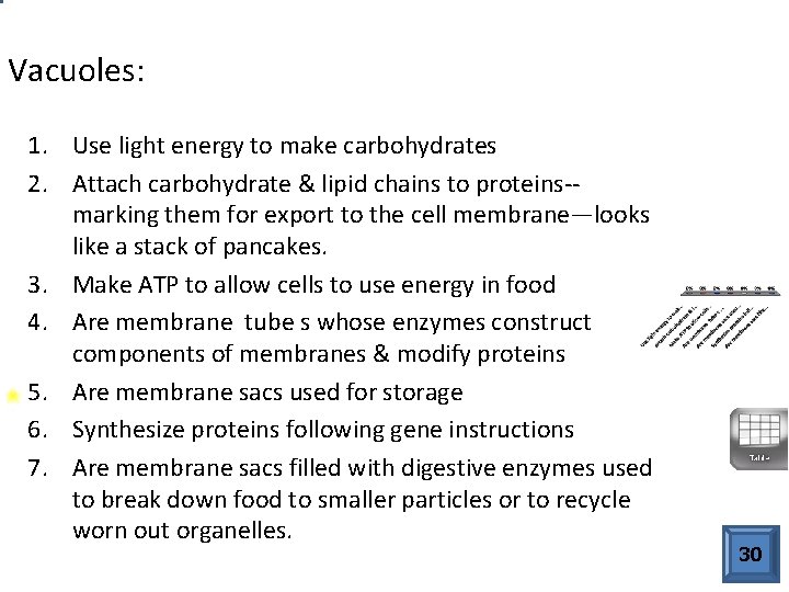 Vacuoles: 1. Use light energy to make carbohydrates 2. Attach carbohydrate & lipid chains
