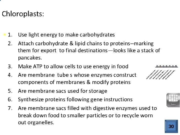 Chloroplasts: 1. Use light energy to make carbohydrates 2. Attach carbohydrate & lipid chains