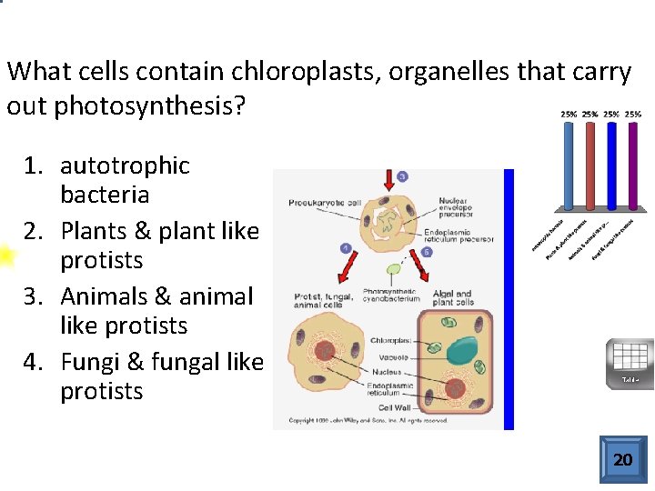 What cells contain chloroplasts, organelles that carry out photosynthesis? 1. autotrophic bacteria 2. Plants