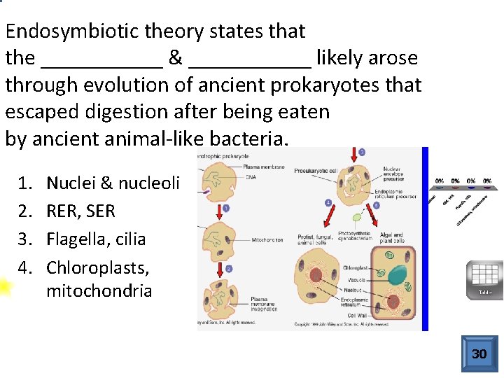Endosymbiotic theory states that the ______ & ______ likely arose through evolution of ancient