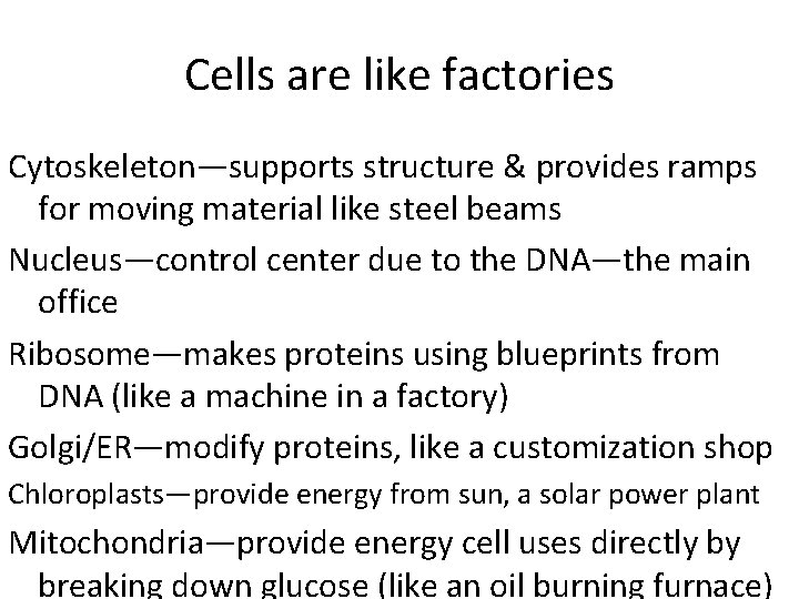 Cells are like factories Cytoskeleton—supports structure & provides ramps for moving material like steel