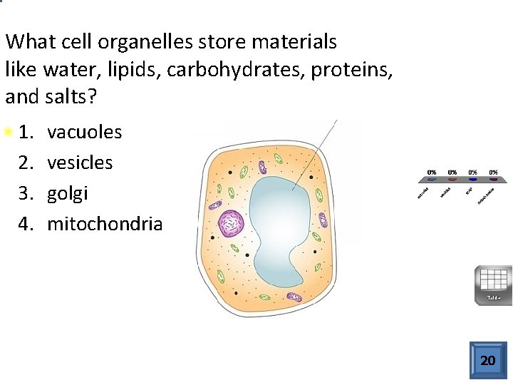 What cell organelles store materials like water, lipids, carbohydrates, proteins, and salts? 1. 2.