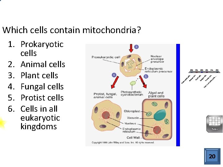 Which cells contain mitochondria? 1. Prokaryotic 2. 3. 4. 5. 6. cells Animal cells