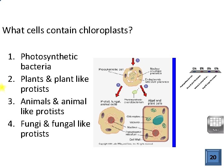 What cells contain chloroplasts? 1. Photosynthetic bacteria 2. Plants & plant like protists 3.