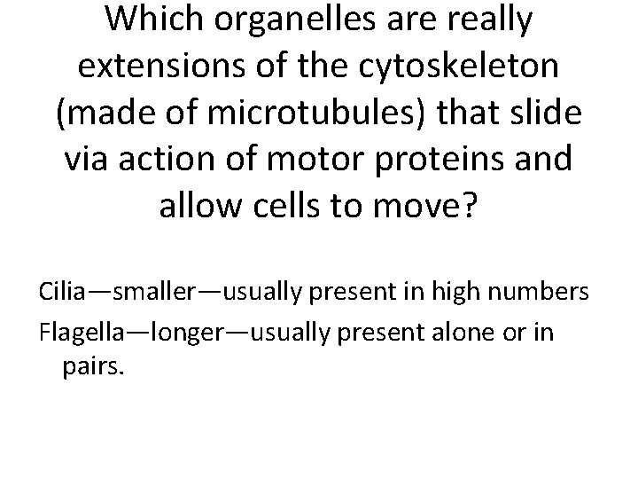 Which organelles are really extensions of the cytoskeleton (made of microtubules) that slide via