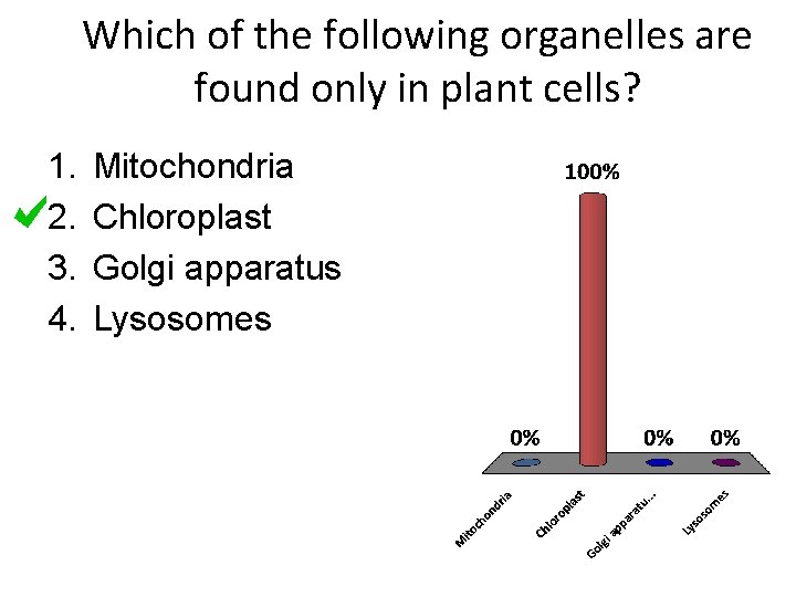 Which of the following organelles are found only in plant cells? 1. 2. 3.