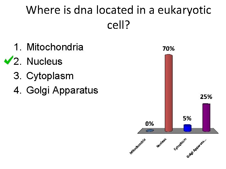 Where is dna located in a eukaryotic cell? 1. 2. 3. 4. Mitochondria Nucleus