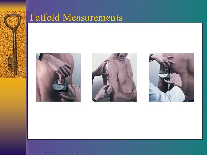 Fatfold Measurements 