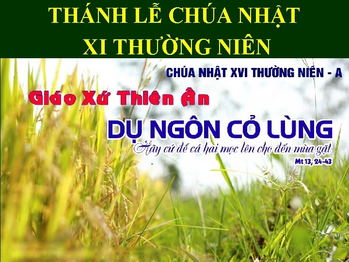 THÁNH LỄ CHÚA NHẬT XI THƯỜNG NIÊN 