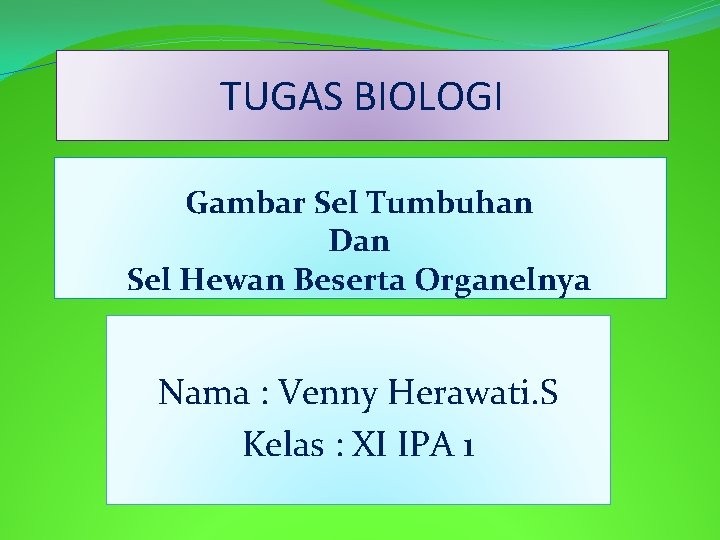 TUGAS BIOLOGI Gambar Sel Tumbuhan Dan Sel Hewan Beserta Organelnya Nama : Venny Herawati.