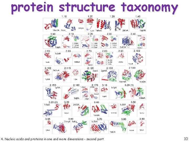 protein structure taxonomy 4. Nucleic acids and proteins in one and more dimensions -