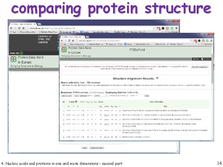 comparing protein structure 4. Nucleic acids and proteins in one and more dimensions -