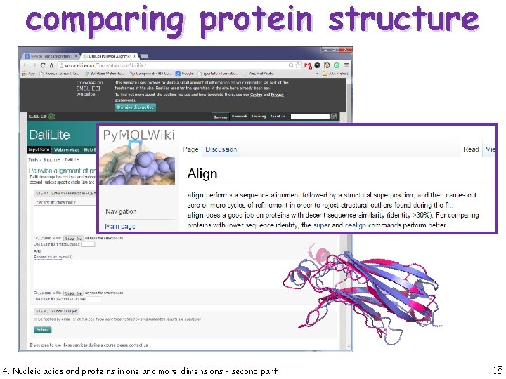 comparing protein structure 4. Nucleic acids and proteins in one and more dimensions -