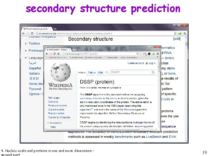 secondary structure prediction 4. Nucleic acids and proteins in one and more dimensions -