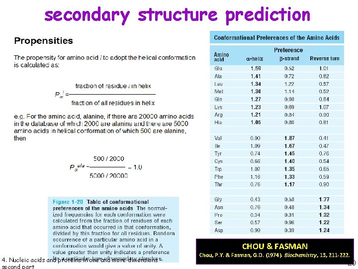 secondary structure prediction CHOU & FASMAN 4. Nucleic acids and proteins in one and