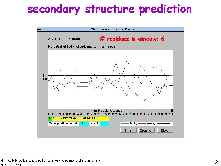 secondary structure prediction # residues in window: 6 4. Nucleic acids and proteins in