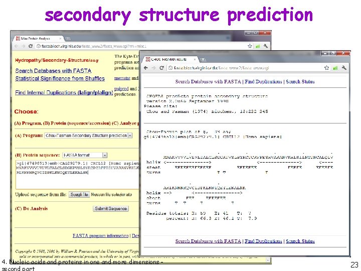 secondary structure prediction 4. Nucleic acids and proteins in one and more dimensions -