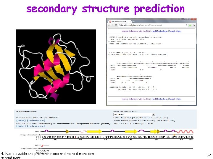 secondary structure prediction 4. Nucleic acids and proteins in one and more dimensions -