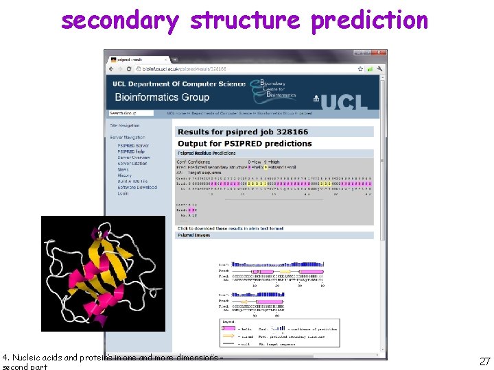 secondary structure prediction 4. Nucleic acids and proteins in one and more dimensions -