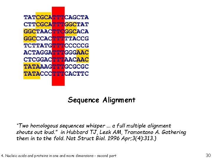 Sequence Alignment “Two homologous sequences whisper. . . a full multiple alignment shouts out