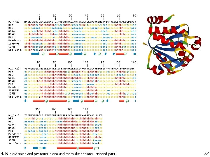 4. Nucleic acids and proteins in one and more dimensions - second part 32