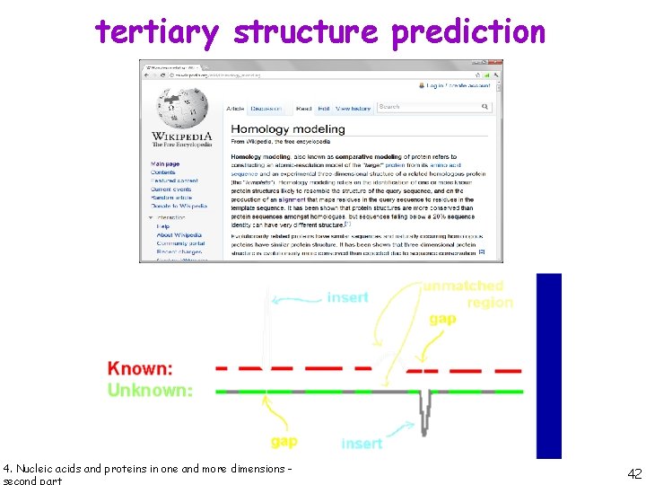 tertiary structure prediction 4. Nucleic acids and proteins in one and more dimensions -